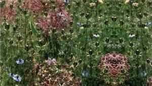 Gardens of the World with Audrey Hepburn — foto 1