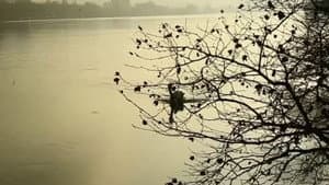 Hunting Confessions — foto 2