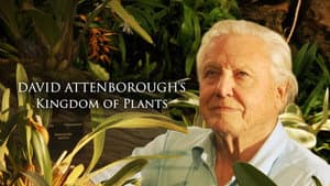 Kingdom of Plants — foto 4