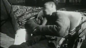 駱駝祥子 — foto 1