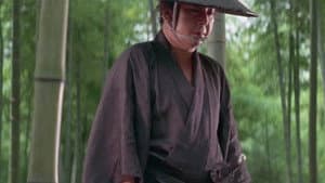 El lobo solitario y su cachorro: coche de bebé en el Hades — foto 9