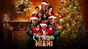 Christmas in Miami — foto 1