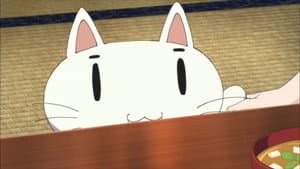 Episodio 9