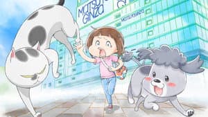 犬と猫どっちも飼ってると毎日たのしい — foto 2