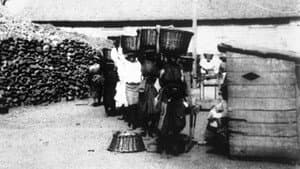 Fort-de-France : femmes portant des corbeilles — foto 1