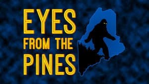 Eyes from the Pines — foto 1