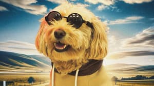 Dog Fugitive — foto 1