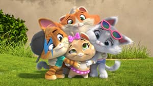 44 gatos — foto 5