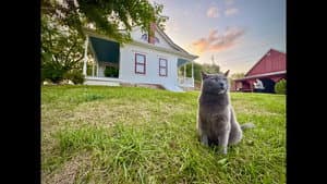 Red Letter Media Investigates: The Villisca Ax Murder House — foto 1