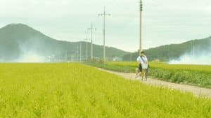 가슴의 문을 두드려도 — foto 1