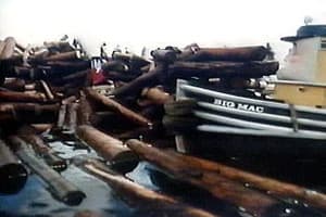 Episodio 8