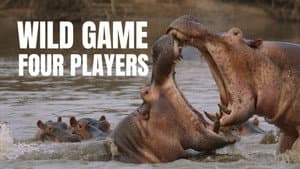 Wild Game: 4 Players — foto 3