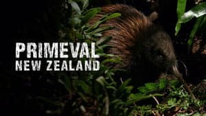 Primeval New Zealand — foto 1