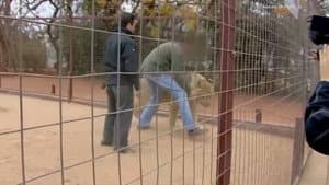 Episodio 5