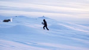 -22.7°C The Far North Musical Experience — foto 2
