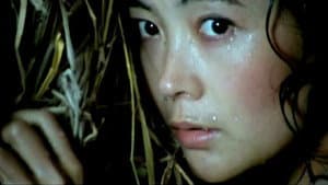 湘女萧萧 — foto 3