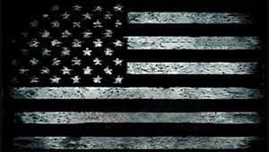 Surviving America — foto 1