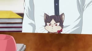 Episodio 11