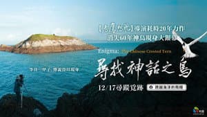 尋找神話之鳥 — foto 1