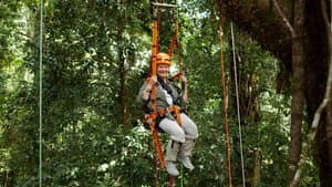 Judi Dench's Wild Borneo Adventure — foto 1