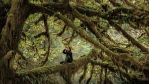 Le Chant des forêts — foto 3