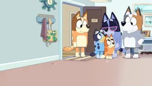 Pequeñas historias de Bluey — foto 9