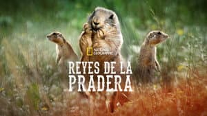Prairie Dog Manor — foto 4
