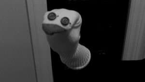 Le Puppet — foto 1