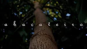 Abacateiro — foto 1