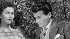 Το Οργανάκι του Αττίκ — foto 1