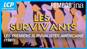Episodio 16