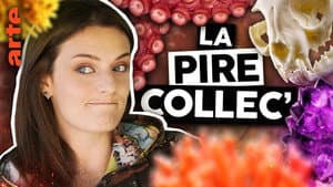 Episodio 5