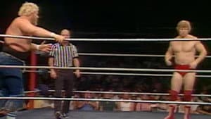 Episodio 29