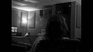 Swan — foto 3