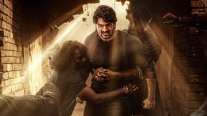 భజే వాయు వేగం — foto 9