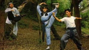 醉俠蘇乞兒 — foto 1