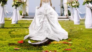 Bridezillas — foto 1