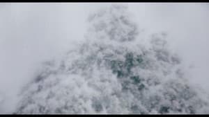 Escaping tree — foto 1