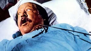 Il figlio di Zorro — foto 1