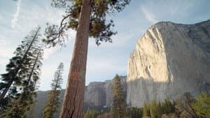 Amerikas Beste Idee - 150 Jahre Nationalparks in den USA — foto 1