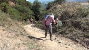 Bertelsen på Caminoen — foto 1
