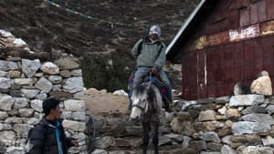 The Horseman of Mount Everest — foto 4