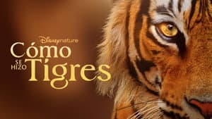 Crianza de tigres — foto 8