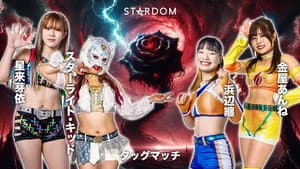 STARDOM GW TOUR 2026 in FUKUYAMA — foto 6
