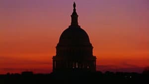 The Congress — foto 1