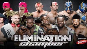 WWE Elimination Chamber 2015 — foto 3