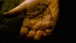 Esperalia — foto 1