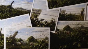 Grantham Overgrown (Infinite Regression) — foto 2