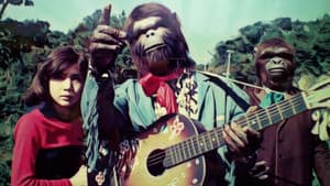 Time of the Apes — foto 1