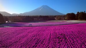 Le Japon vu du ciel — foto 1